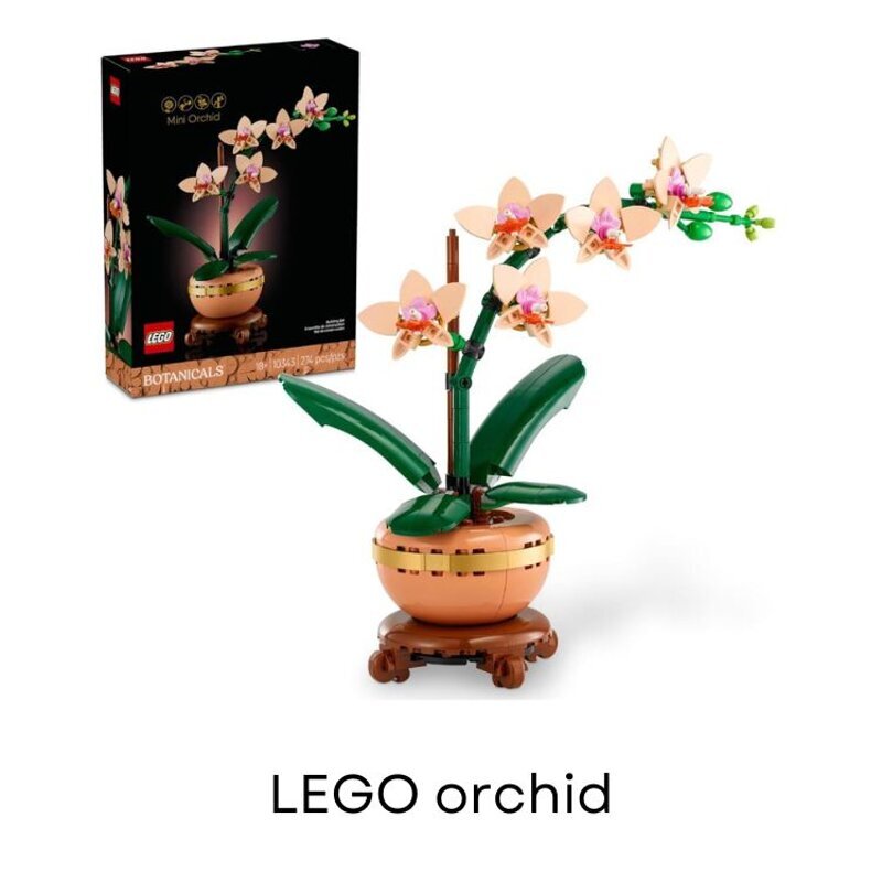 LEGO Orchid Set to be used as a prize for the winner of a Christmas holiday party bingo game.